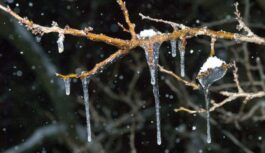 Meteorologi prognozē, ka laikapstākļi no 12.marta dinamiski mainīsies: “Pavasaris ir ļoti viltīgs”