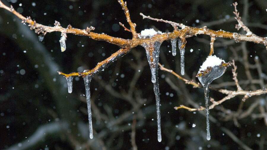 Meteorologi prognozē, ka laikapstākļi no 12.marta dinamiski mainīsies: “Pavasaris ir ļoti viltīgs”