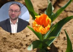 Meteorologs Toms Bricis atklāj prognozi līdz pat marta vidum: siltums saglabāsies vai to aizstās sniega mākoņi