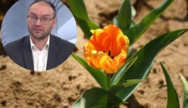 Meteorologs Toms Bricis atklāj prognozi līdz pat marta vidum: siltums saglabāsies vai to aizstās sniega mākoņi