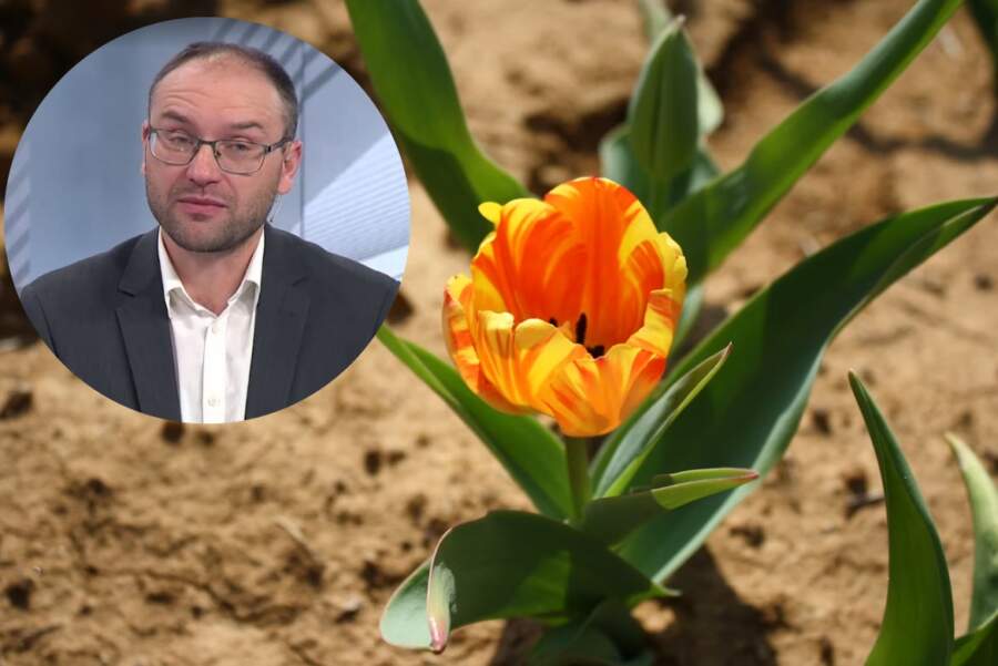 Meteorologs Toms Bricis atklāj prognozi līdz pat marta vidum: siltums saglabāsies vai to aizstās sniega mākoņi