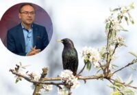 Meteorologs Toms Bricis atklāj cik ilgi Latvijā turpināsies siltums un cik grādus sagaidīsim marta vidū