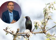 Meteorologs Toms Bricis atklāj cik ilgi Latvijā turpināsies siltums un cik grādus sagaidīsim marta vidū