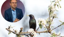 Meteorologs Toms Bricis atklāj cik ilgi Latvijā turpināsies siltums un cik grādus sagaidīsim marta vidū