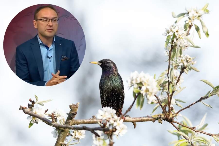 Meteorologs Toms Bricis atklāj cik ilgi Latvijā turpināsies siltums un cik grādus sagaidīsim marta vidū