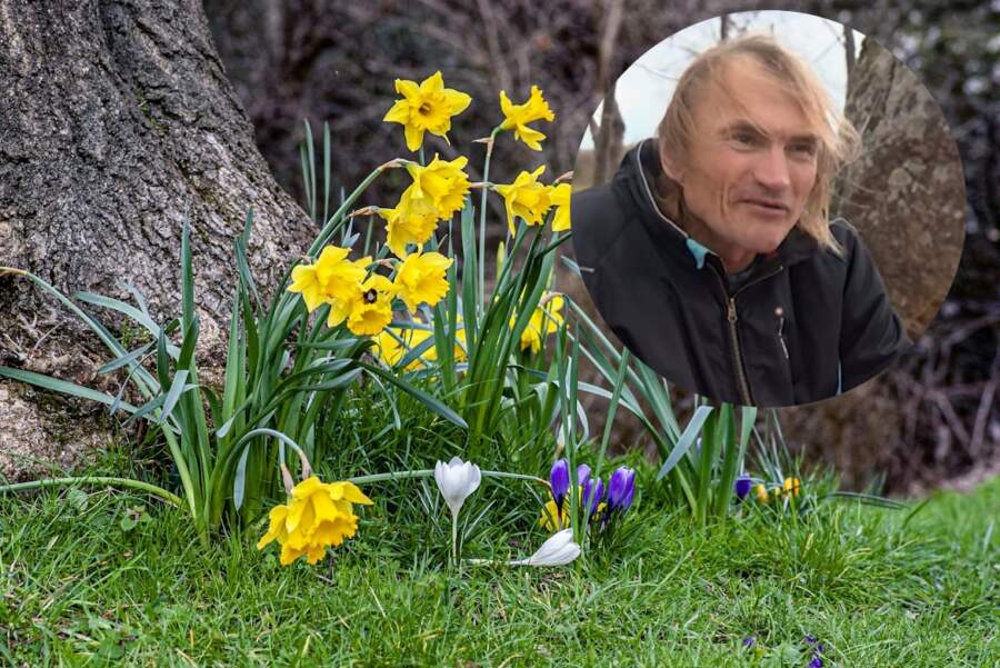 Latvijas dabas pazinējs Vilis Bukšs atklāj, ka laikapstākļi būtiski mainīsies tieši pēc 25.marta