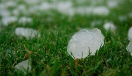 Ģeologs Ranks atklāj, ka vasara Latvijā būs dramatiska: “Veidojas bīstama ķēdes reakcija”