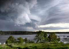 Meteorologs Andris Vīksna atklāj kāda būs gaidāmā vasara: “No lielgraudu krusas nepaslēpsimies”