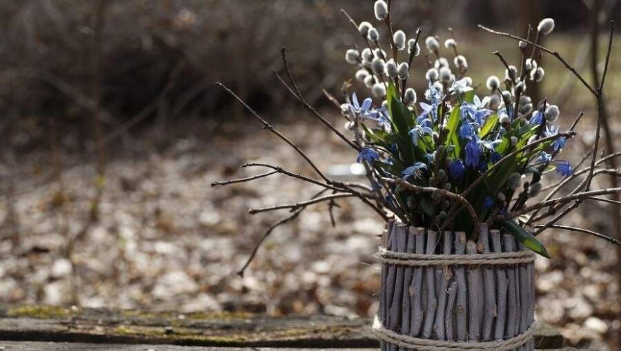 Mūsu priekšteči Pūpolsvētdienu gaidīja ar īpašu godbijību: kāpēc viņi nekad nemeta pūpolu zariņus miskastē