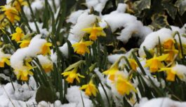 Vai klusums pirms vētras: Dabas vērotāja prognoze aprīlim liek kļūt piesardzīgiem Vai klusums pirms vētras: Dabas vērotāja prognoze aprīlim liek kļūt piesardzīgiem