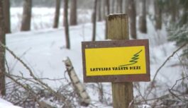 Bērnības paziņa vai interešu konflikts? Skandāls ap “Latvijas Valsts mežiem” uzņem apgriezienus