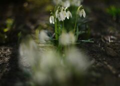 “Viss mainās vienā mirklī”: jaunākās ziņas par laikapstākļiem sākot no 19. marta liek mainīt plānus