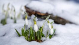 Sinoptiķi publicē prognozi 8.martam, Sieviešu dienai: “Gaidāms patīkams laiks, bet ar vienu niansi”