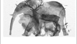 Ko tu ieraudzīji pirmo: šis attēls precīzi atklās, kur slēpjas tavs lielākais spēks