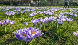 Sinoptiķi atklāj, kad gaidāms pirmais karstuma vilnis: “Drīzumā gaidāms izteikts temperatūras lēciens”