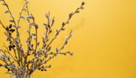 Piecas svarīgas lietas, kas jāizdara pirms Lieldienām, lai veiksme būtu jūsu pusē arī pēc svētkiem Piecas svarīgas lietas, kas jāizdara pirms Lieldienām, lai veiksme būtu jūsu pusē arī pēc svētkiem