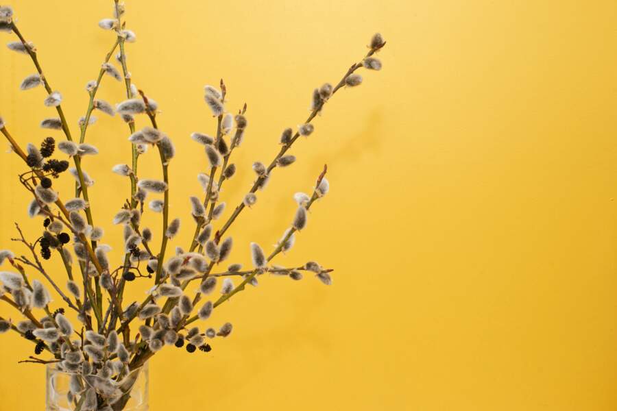 Piecas svarīgas lietas, kas jāizdara pirms Lieldienām, lai veiksme būtu jūsu pusē arī pēc svētkiem