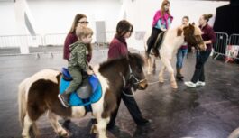 No retiem Taivānas suņiem līdz ponijiem: Ķīpsalā notiks vērienīgā izstāde “PetExpo 2026”