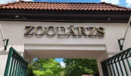 Rīgas Nacionālais zooloģiskais dārzs: rīt ieeja par neticami zemu cenu Rīgas Nacionālais zooloģiskais dārzs: rīt ieeja par neticami zemu cenu