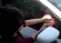 Ejot pie savas mašīnas ieraudzīju, ka to ir “nocūkojuši” putni un drīz vien pieskrēja puika – beidzās viss slikti Ejot pie savas mašīnas ieraudzīju, ka to ir “nocūkojuši” putni un drīz vien pieskrēja puika – beidzās viss slikti