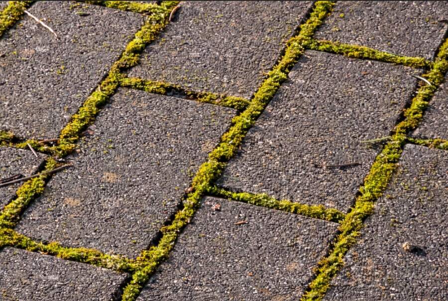 Vienkāršas metodes, lai terase un gājēju celiņi atkal izskatītos kā jauni