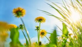 Klimatologs atklāj kāda būs gaidāmā vasara: “Šovasar laikapstākļi var sagādāt pamatīgus pārsteigumus”