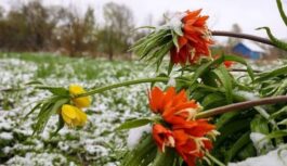 Pavasaris Latvijā mēdz būt viltīgs un neprognozējams: sinoptiķi atklāj vai sagaidīsim aprīlī cīruļputeni