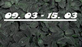 Veiksme vai bīstams pagrieziens: ko sola nākamā marta nedēļa un kuras dienas būs izšķirošas