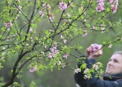 Eksperti norāda, ka marts atnesīs ne tikai pavasarīgo saulīti un siltumu, bet arī ziemas “ēnas pusi”