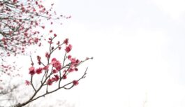 16. marta ticējumi un tradīcijas: saraksts ar to, kas nesīs veiksmi un no kā labāk izvairīties