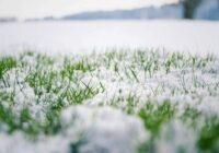 Aprīlis būs neparasts: ko sagaidīt no laikapstākļiem, prognozē sinoptiķi