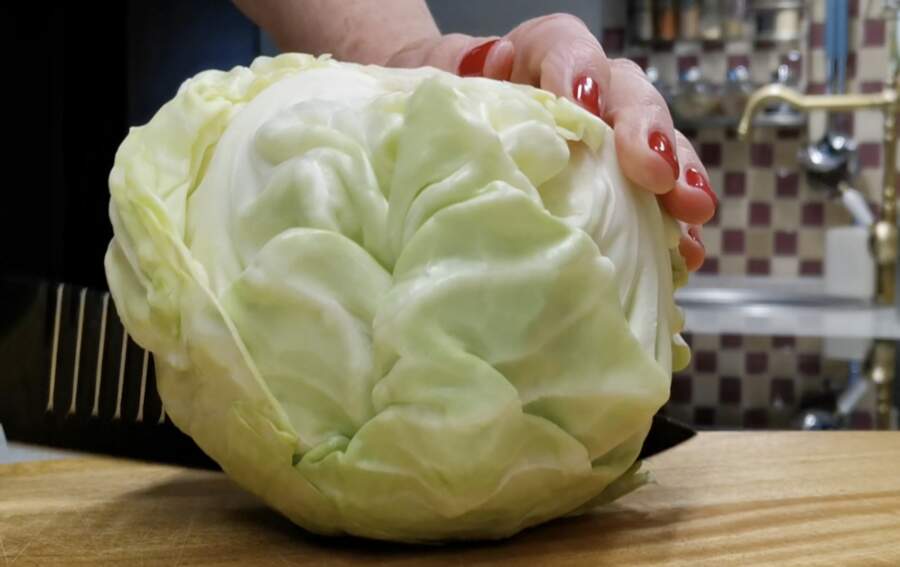 Gatavojam kāpostus katru dienu un neapnīk: recepte, kas aizņem vien 15 minūtes