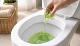 Kanalizācija bez bēdām: viena glāze mēnesī, un bedre nebūs jātīra 15 gadus