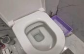 Kāpēc gudri saimnieki pirms tualetes podu tīrīšanas tajā ielej šampūnu
