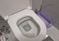 Kāpēc gudri saimnieki pirms tualetes podu tīrīšanas tajā ielej šampūnu