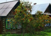 Bēgšana no pilsētas ne visiem beidzas laimīgi: ko mans draugs saprata tikai pēc pirmās ziemas dziļi Sēlijas laukos Bēgšana no pilsētas ne visiem beidzas laimīgi: ko mans draugs saprata tikai pēc pirmās ziemas dziļi Sēlijas laukos