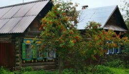 Bēgšana no pilsētas ne visiem beidzas laimīgi: ko mans draugs saprata tikai pēc pirmās ziemas dziļi Sēlijas laukos