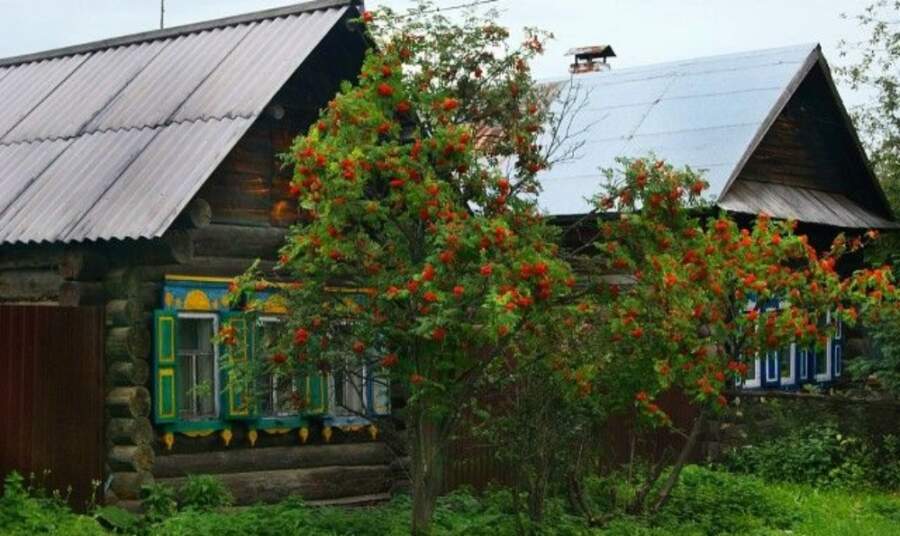 Bēgšana no pilsētas ne visiem beidzas laimīgi: ko mans draugs saprata tikai pēc pirmās ziemas dziļi Sēlijas laukos