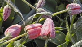 Laikapstākļi mainās zibensātrumā: sinoptiķi iesaka iedzīvotājiem laikus atrast siltās drēbes