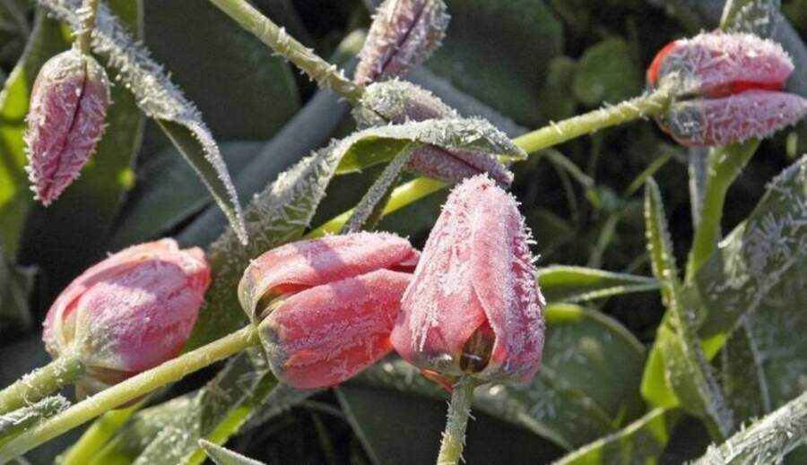Laikapstākļi mainās zibensātrumā: sinoptiķi iesaka iedzīvotājiem laikus atrast siltās drēbes