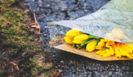 Marts Latvijā fiksēts kā siltākais novērojumu vēsturē: siltuma rekordi un neierasts sausums