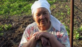 Zem katra paprikas krūma liku vecas zeķubikses; vīrs smejas, bet raža lieliska – lūk kāpēc