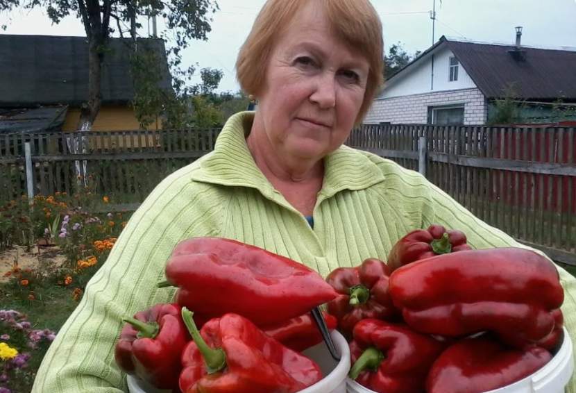 “Nez kāpēc tantuks kaut ko dīvainu ber katrā dobē” domīgi jautāja kaimiņiene Vija, vēlāk Ausma visu paskaidroja