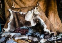 Iekšā +30°C, ārā -50°C un nav nevienas plīts – kā tas ir iespējams