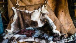 Iekšā +30°C, ārā -50°C un nav nevienas plīts – kā tas ir iespējams