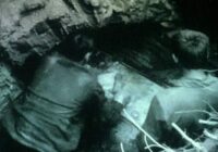 Darbinieki rokot komunikāciju kabeli nejauši uzgāja kādu atradumu; tas tika nogādāts muzejā