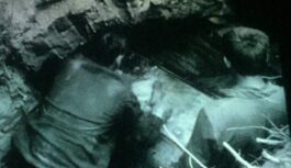 Darbinieki rokot komunikāciju kabeli nejauši uzgāja kādu atradumu; tas tika nogādāts muzejā