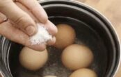 Nevienas ieplīsušas olas Lieldienu rītā: ko es pievienoju ūdenim, lai čaumala būtu stingra un viegli nolobāma