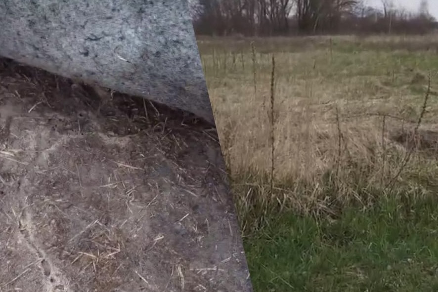 Kā uz visiem laikiem atbrīvoties no vārpatas dārzā: efektīva metode bez jebkādas ķīmijas