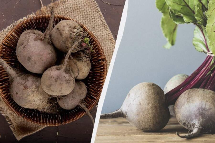 Šīs bietes ir labākas par visiem hibrīdiem: zemnieks nosaucis vienu šķirni, kas vienmēr izaug salda